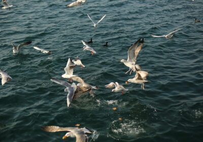 Luxury Group Tour Varanasi Prayagraj with Hotel