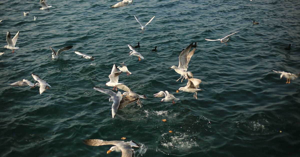 Why Many Families Cancel Magh Mela Plans at the Last Moment