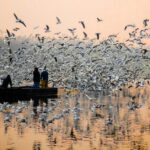 One-Day Asthi Visarjan Arrangements: Is It Possible?