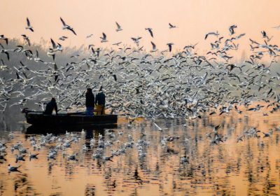 Best 2026 One-Day Asthi Visarjan Arrangements: Is It Possible?