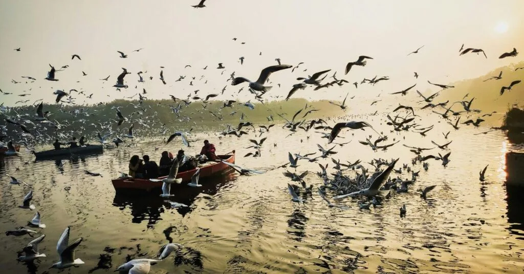 Where to Park Vehicles During Magh Mela A Complete Guide