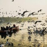 Varanasi for Parents Who Cannot Walk Much Practical Guide