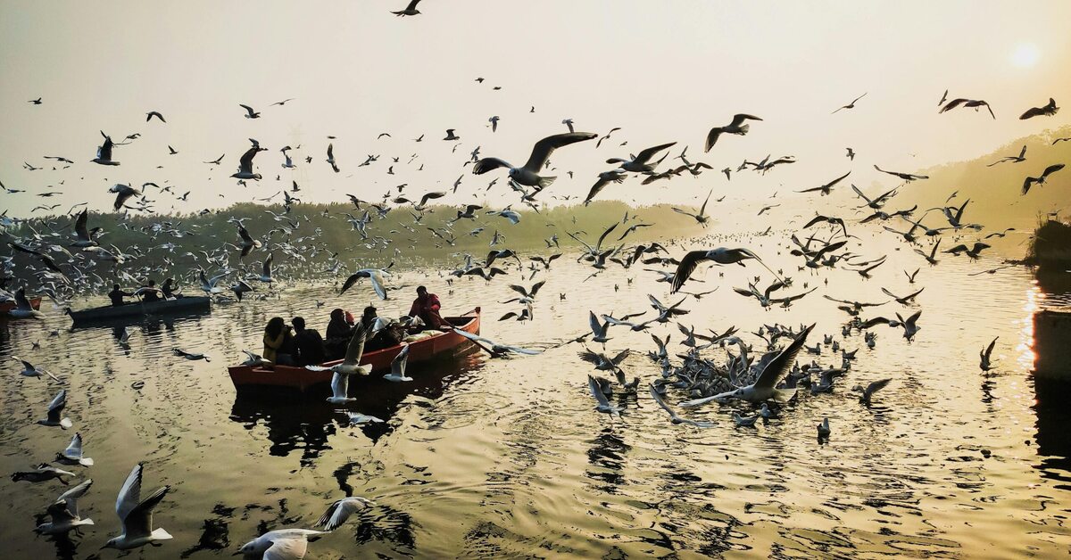 Varanasi for Parents Who Cannot Walk Much Practical Guide