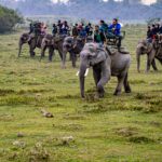 Group Tour Packages for Religious Trips in India