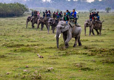 Best 70 Group Tour Packages for Religious Trips in India