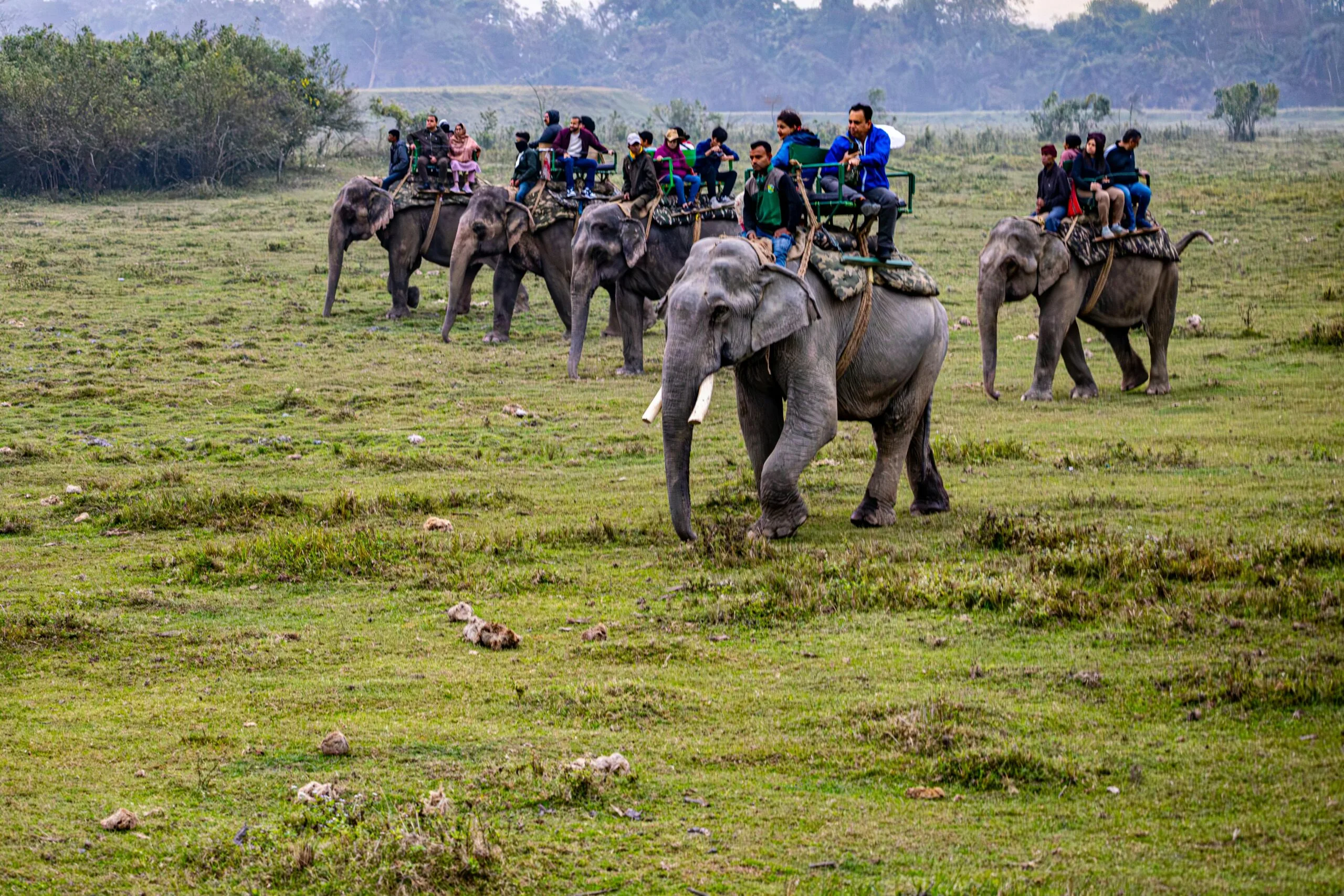 Group Tour Packages for Religious Trips in India