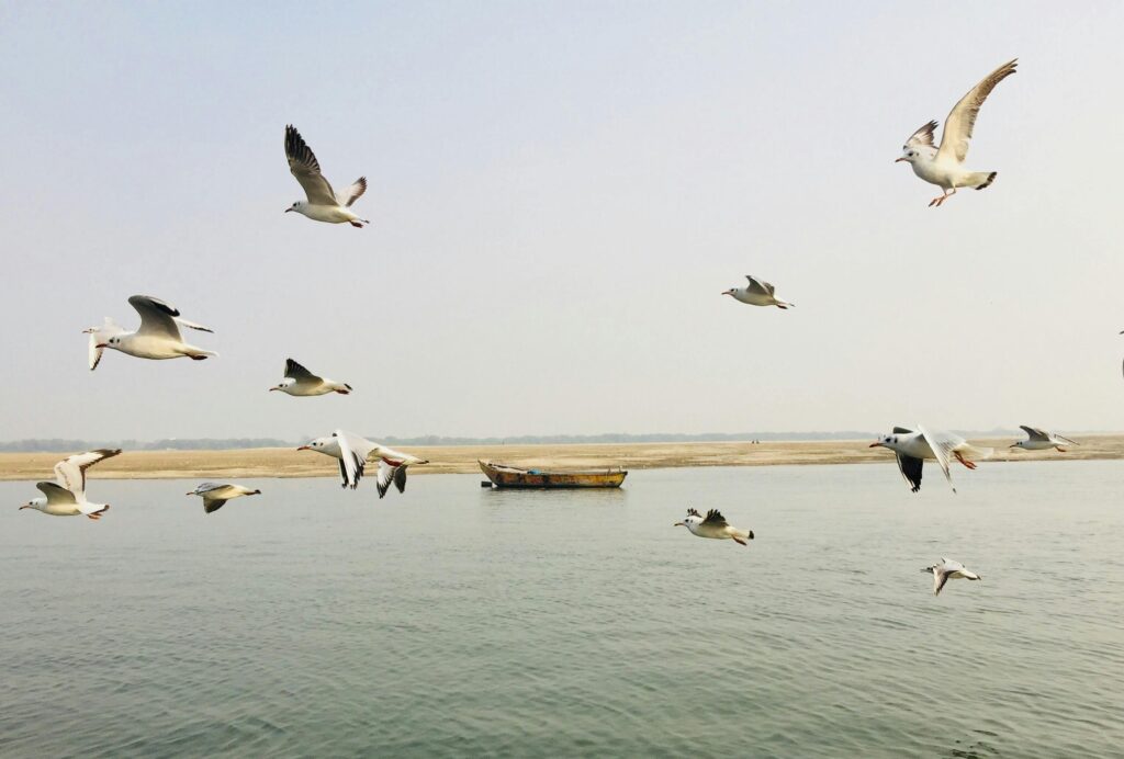 Prayagraj Tour Package for Senior Citizens