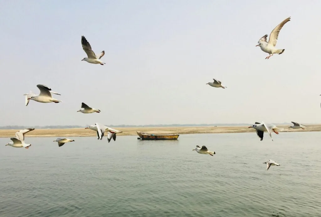 Prayagraj Tour Package for Senior Citizens