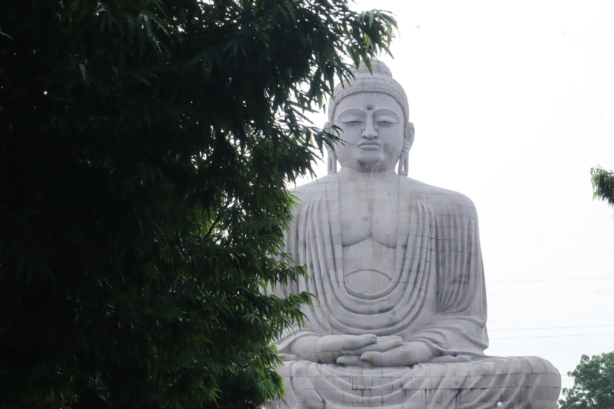 School Group Tour Bodhgaya