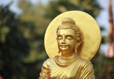 Budget Group Tour Bodhgaya | Affordable Packages | TripCosmos