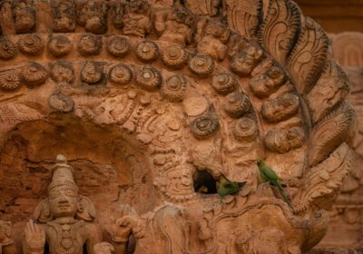 Get Best ₹6,499 Varanasi Senior Citizen Special Package Price