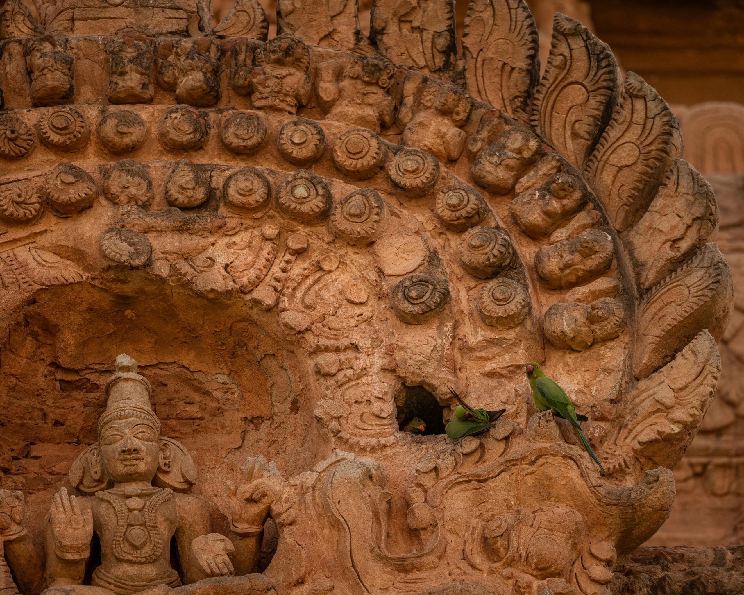 Varanasi Senior Citizen Special Package Price