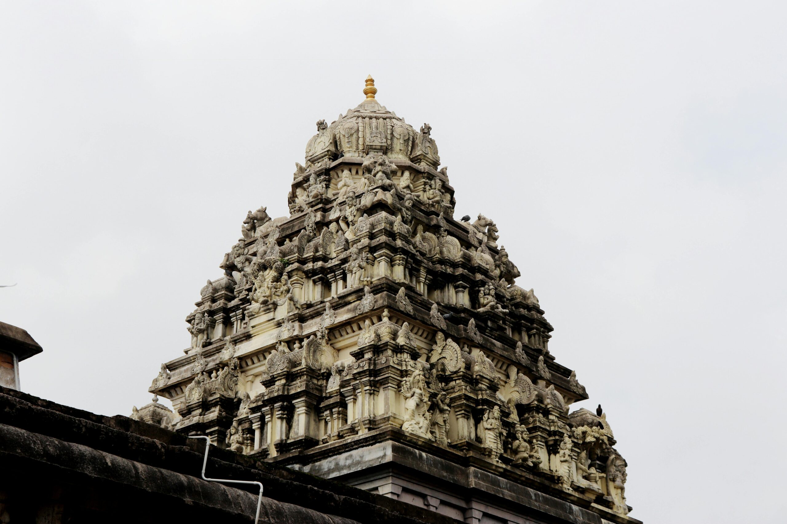Couple Spiritual Trip India