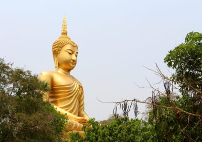 Starting ₹5,500 Comfortable Varanasi Bodhgaya Group Tour Package | TripCosmos
