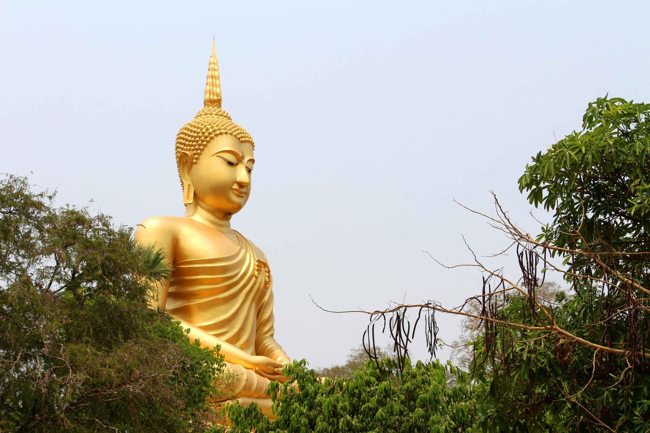 Varanasi Bodhgaya Group Tour Package