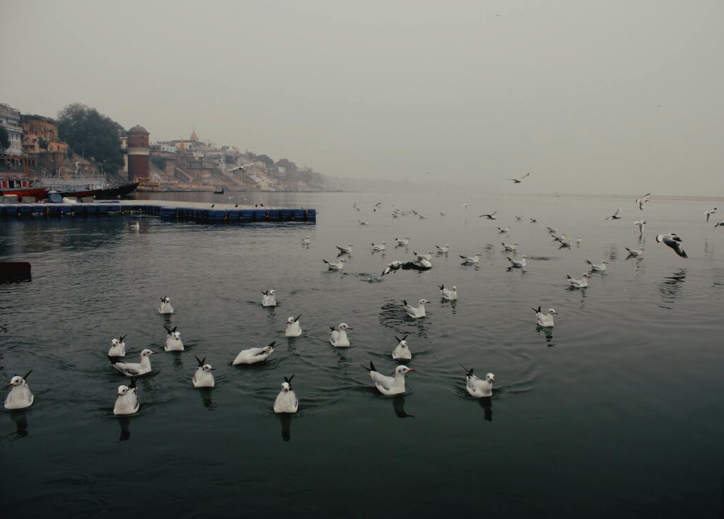 Corporate Group Cab Booking Varanasi