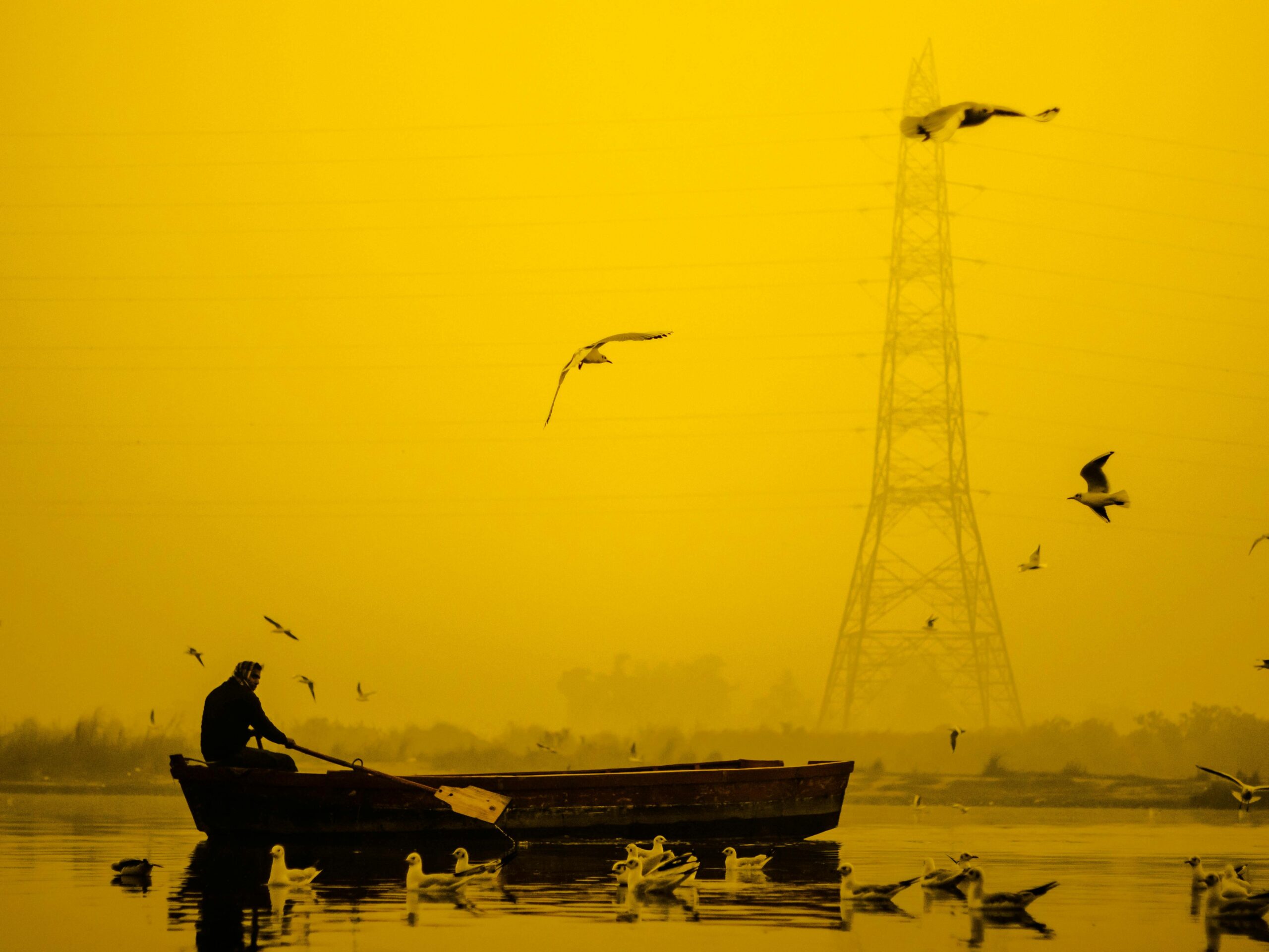 Luxury Electric Boat Varanasi