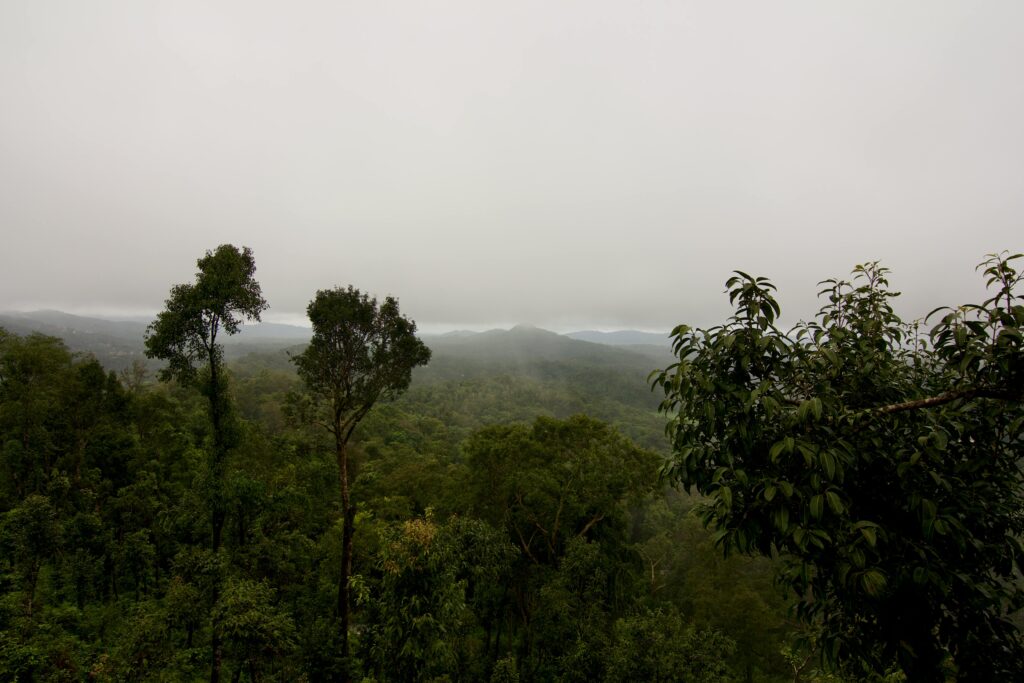 Bangalore to Coorg Trip