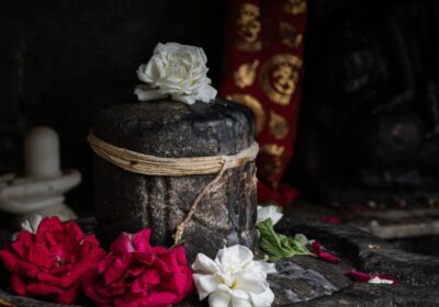 Vindhyachal Devi Temple — Complete Visitor Guide for 2026