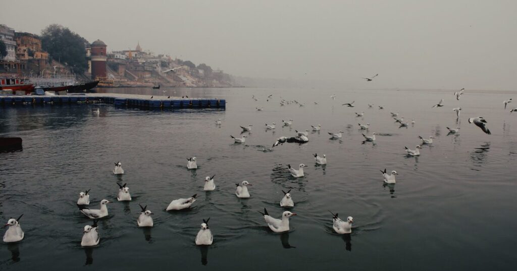 Premium Varanasi Experience