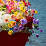 Luxury Dev Deepawali Boat Experience for International Travelers: The Complete 2026 Guide | TripCosmos.co