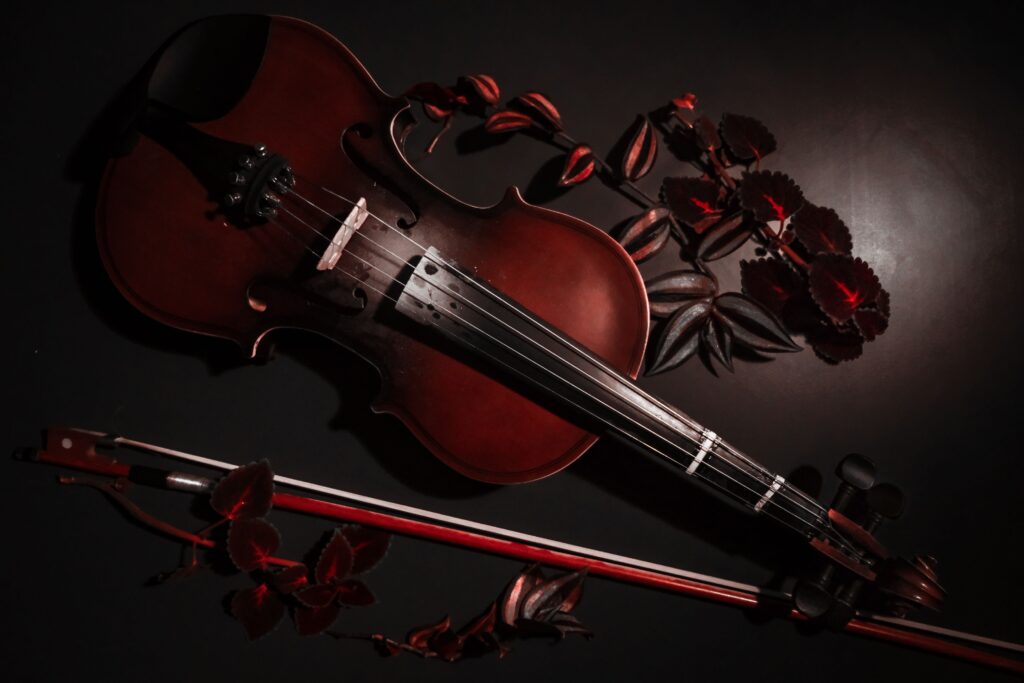 Classical Music Experience Varanasi Foreigners