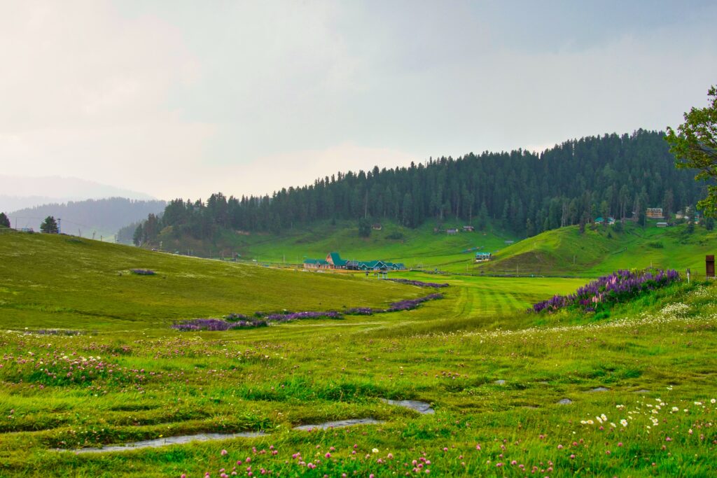 Srinagar Airport to Gulmarg Private Cab Booking – Cost, Service & Booking | TripCosmos.co