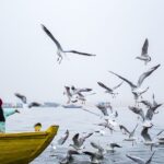 Kerala Senior Citizens Varanasi Tour – Book 2026 | TripCosmos.co