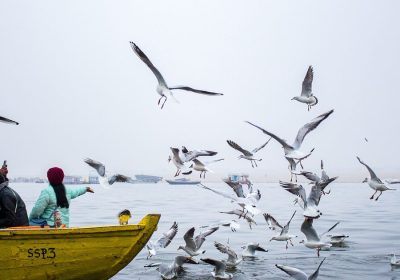 Kerala Senior Citizens Varanasi Tour – Book 2026