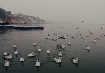 Malaysia Indian Community Varanasi Tour — Your Complete Sacred India Journey