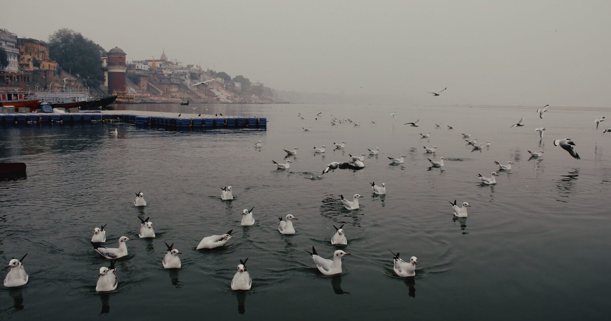 Malaysia Indian Community Varanasi Tour