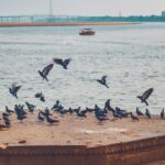 Magh Mela Prayagraj 2027 Camp Booking — Sangam-Side Tents, Shahi Snan Dates, Zero Booking Risk | TripCosmos.co