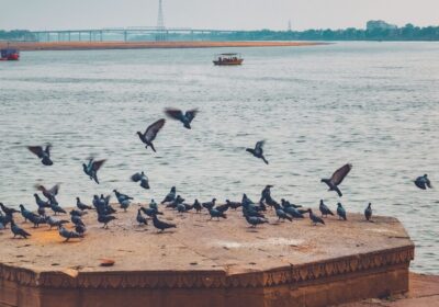 Magh Mela Prayagraj 2027 Camp Booking — Best Sangam-Side Tents, Shahi Snan Dates, Zero Booking Risk