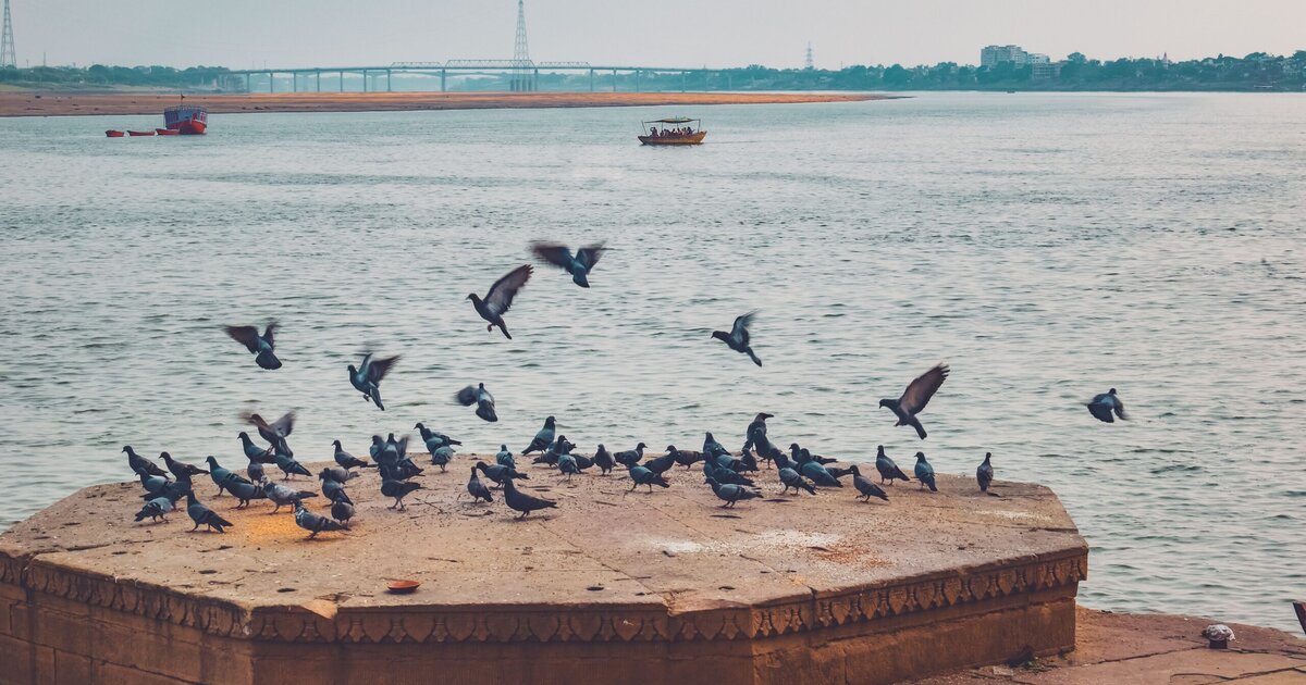 Magh Mela Prayagraj 2027 Camp Booking — Sangam-Side Tents, Shahi Snan Dates, Zero Booking Risk | TripCosmos.co