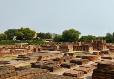 Sarnath Complete Visitor Guide 2026 — Everything You Need to Know Before You Go