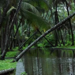 Kochi Honeymoon Package 2026 – Romantic Kerala Circuit for Couples