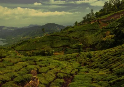 Munnar 3 Day Tour Package 2026: A Realistic Day-by-Day Plan
