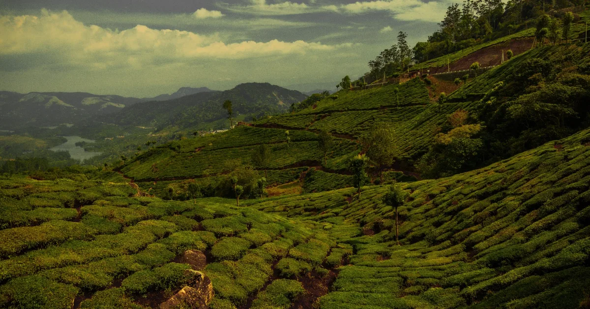 Munnar 3 Day Tour Package