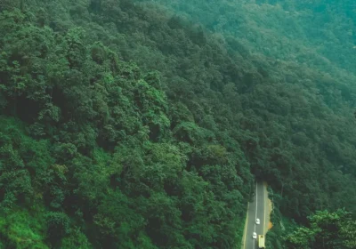 Wayanad Private Cab Booking 2026: Getting There and Getting Around
