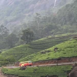 Munnar Family Tour Package 2026: A Realistic Plan for Travelling with Kids and Parents