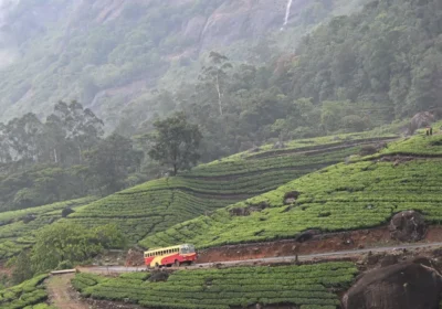 Munnar Family Tour Package 2026: A Realistic Plan for Travelling with Kids and Parents
