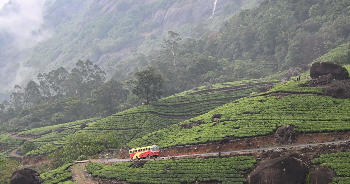 Munnar Family Tour Package 2026: A Realistic Plan for Travelling with Kids and Parents