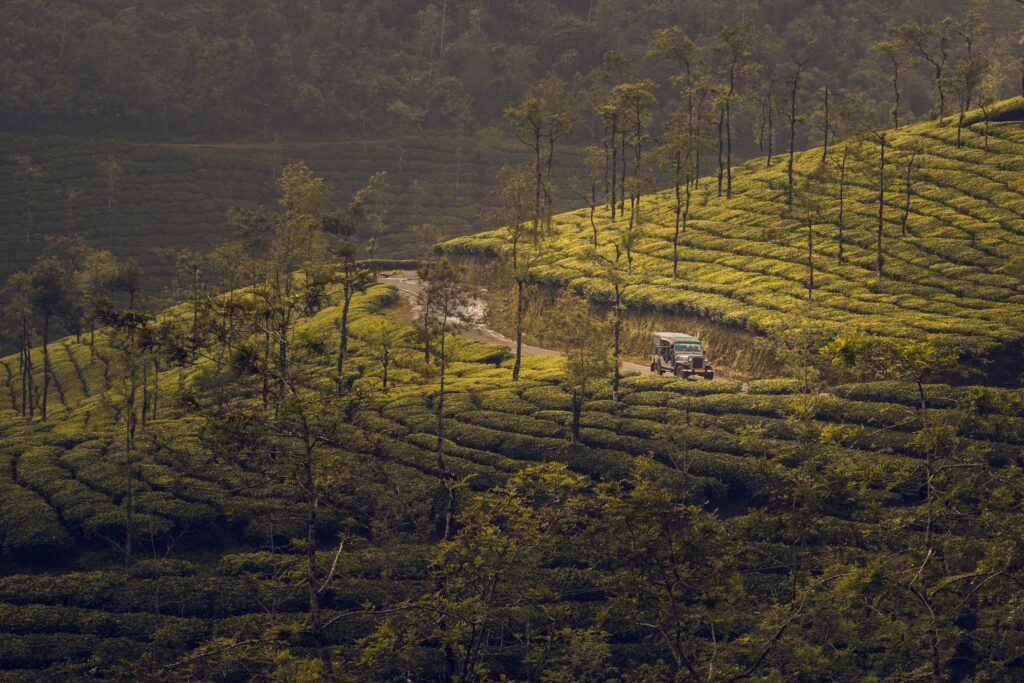 Munnar Senior Citizen Tour Package