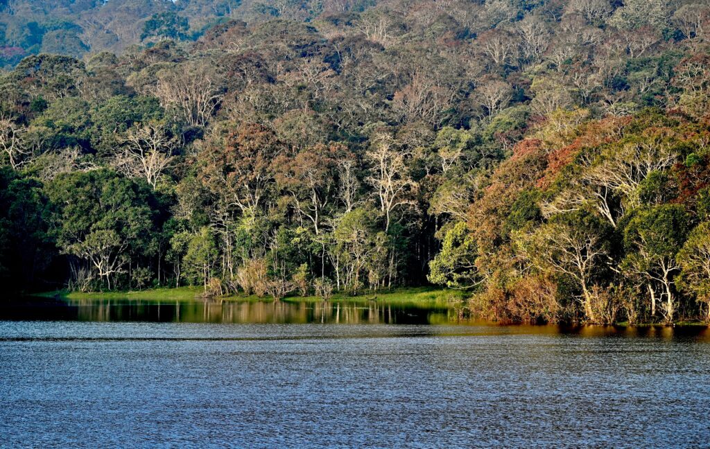 Thekkady Senior Citizen Tour Package