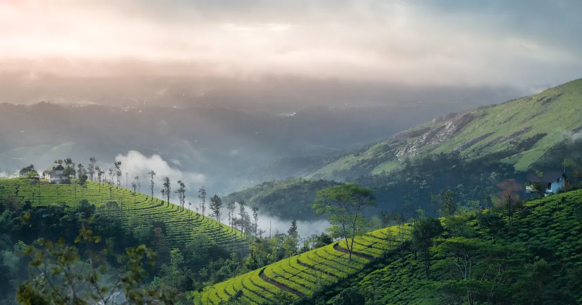 Munnar Group Tour Package