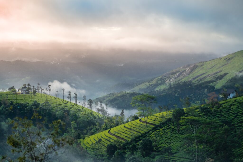 Munnar 3 Day Tour Package