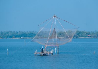 Kochi Luxury Tour Package 2026: What a High-End Kerala Trip Actually Looks Like