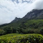 Munnar Honeymoon Package
