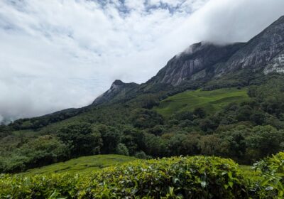 Munnar Honeymoon Package 2026: Why Couples Keep Choosing the Hills Over the Coast