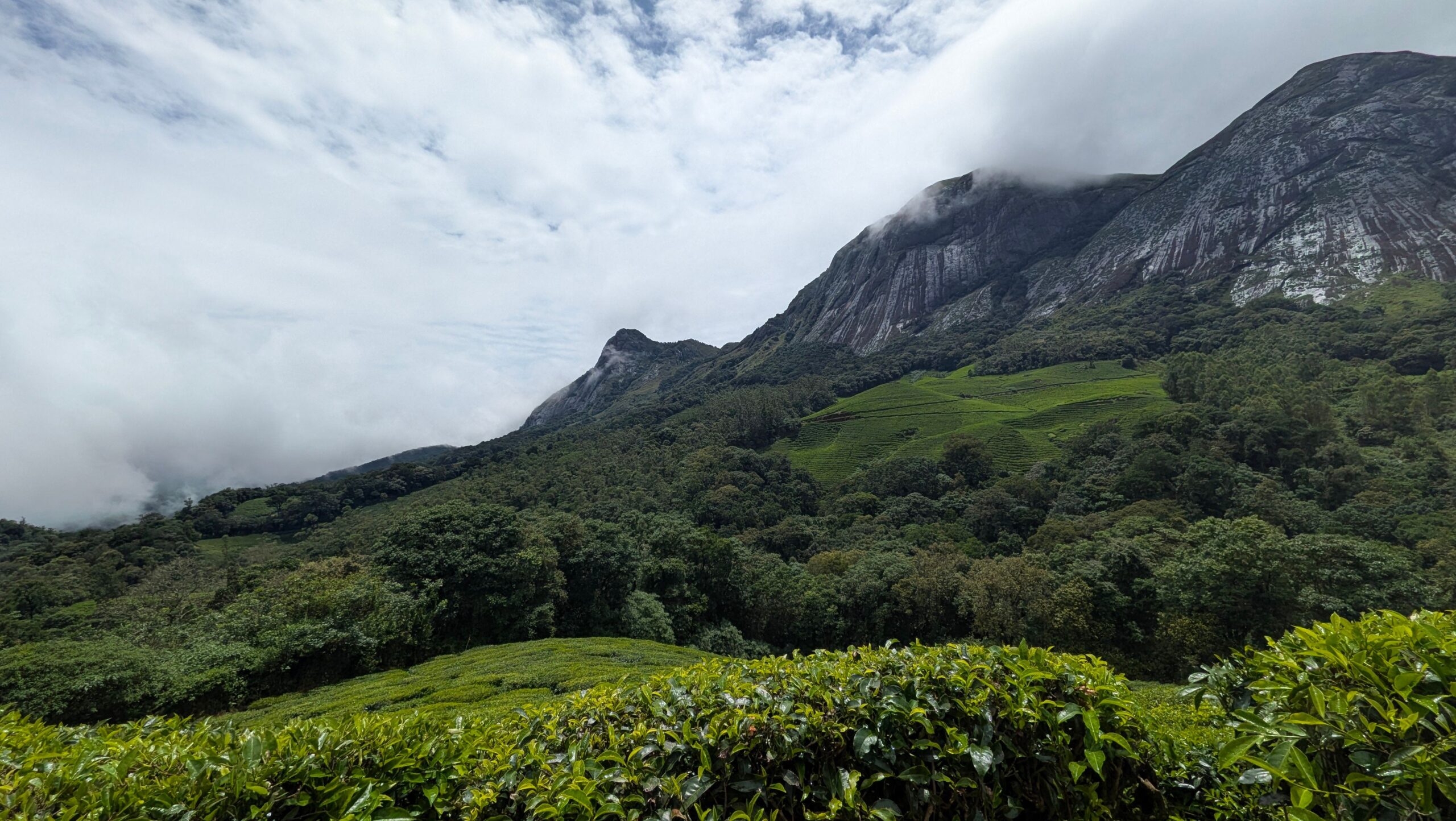 Munnar Honeymoon Package